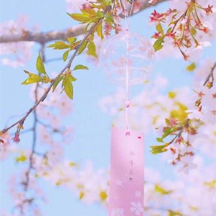 相乐总三（身份：赤报队队长、左之助师父） - 魔鬼恋人第三季免费全集播放23 - 在线影视